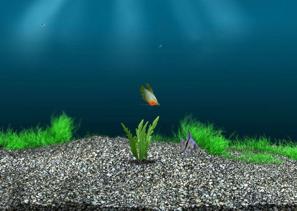 Татьяна Фомичева