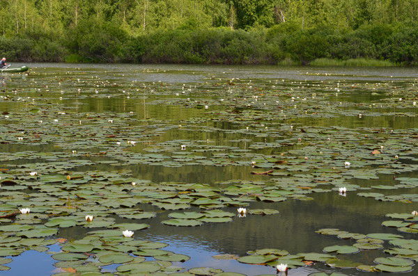 Татьяна Сарычева