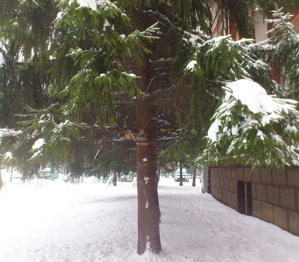 Марина Иванова