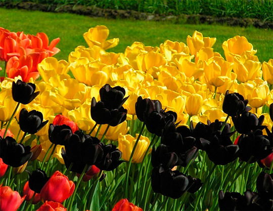 Вивьен Мэри Хартли