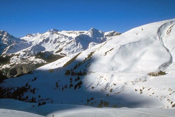 Динара Шакарова