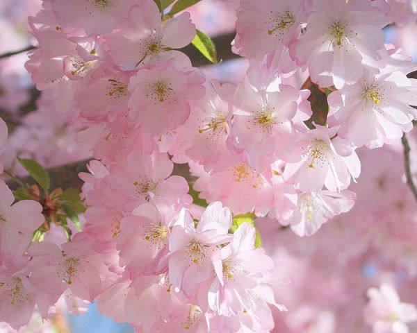 Ирина Омельчук