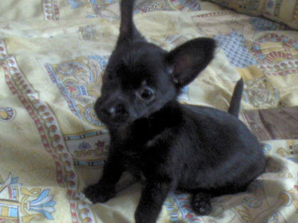 Ксюха Марченко