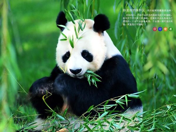 Khp101 Алёша-Цпу