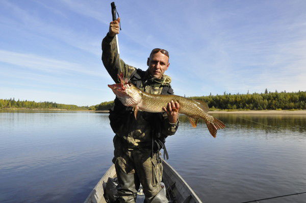 Дмитрий Полуэктов