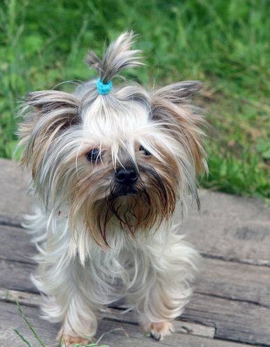 Илона Кабатова