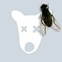 Константин Дудырев