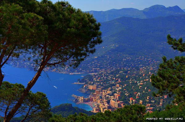 Салтанат Сраилова