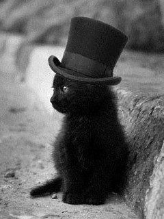 Наталья Карпова