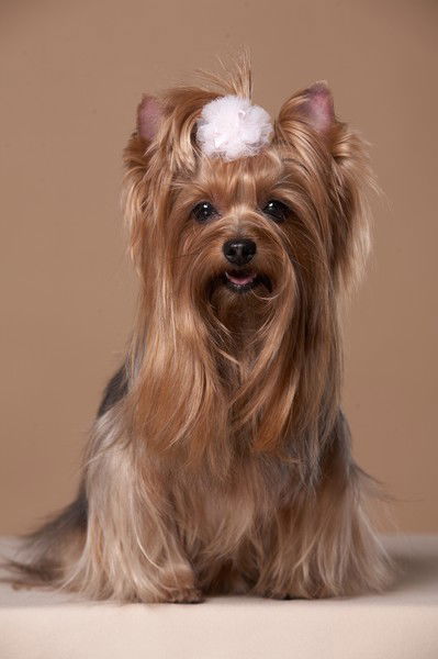 Наталия Патриархова