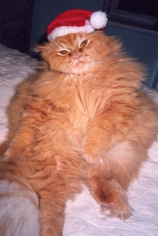 Надежда Алексеева