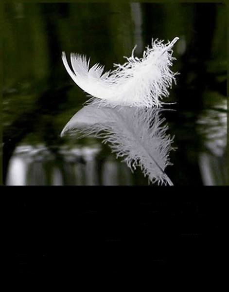 Асия Шакирова