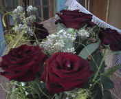 Лариса Кашпирович