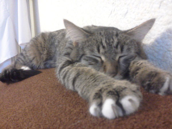 Ольга Сидоренко