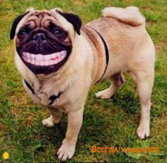 Мария Рухлова