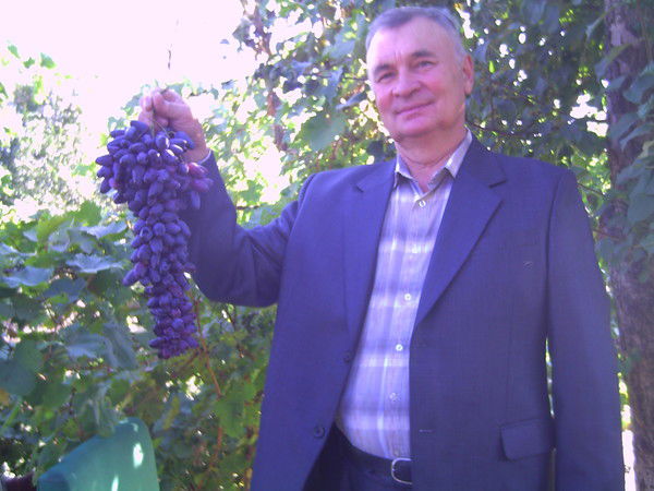 Иван Бреславцев