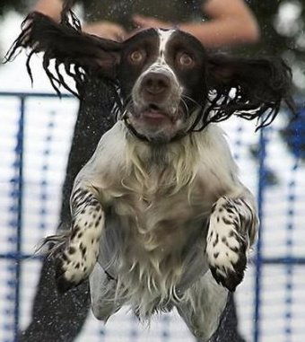 Владимир Бураков