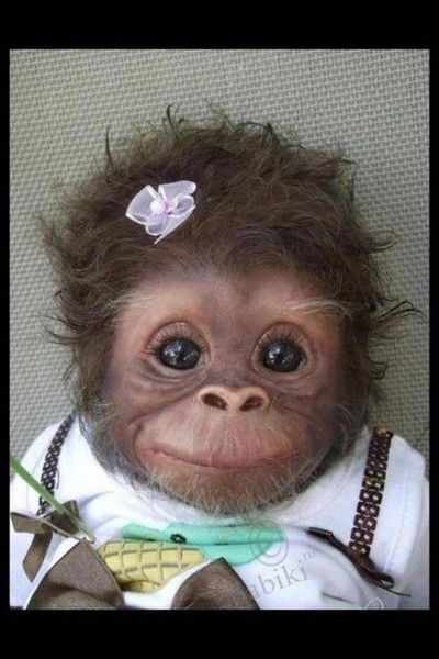 Наталья Петроченко