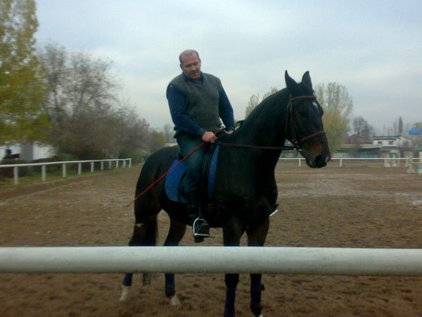 Анатолий Толкаченко