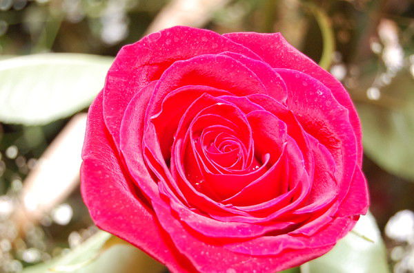 Назерке Ахметова