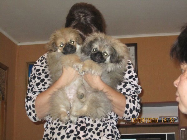 Ирина Черных