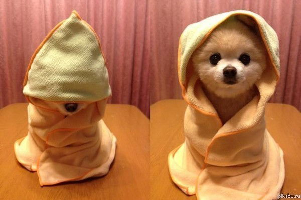 Андрей Чебардаков