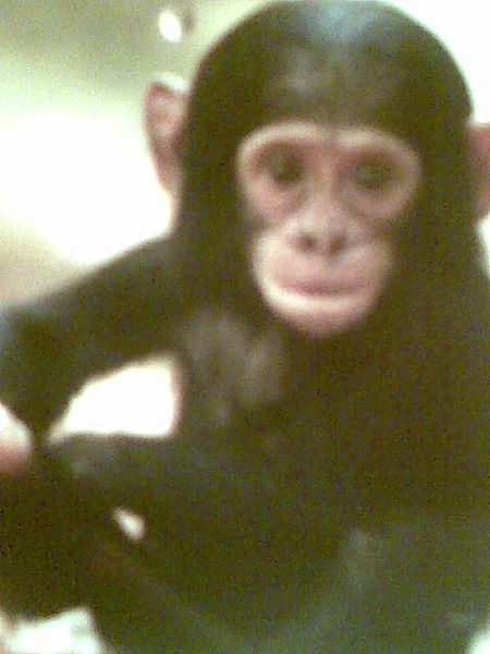 Виктория Кунцевич