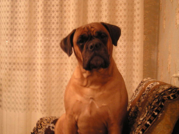 Всеволод Малиновский