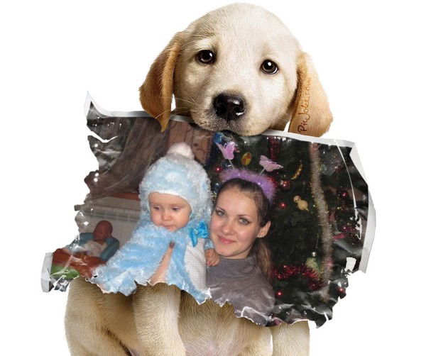 Алексей Краснов