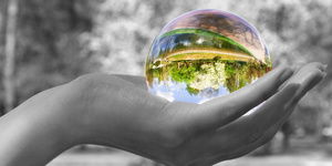 Вера Петрова