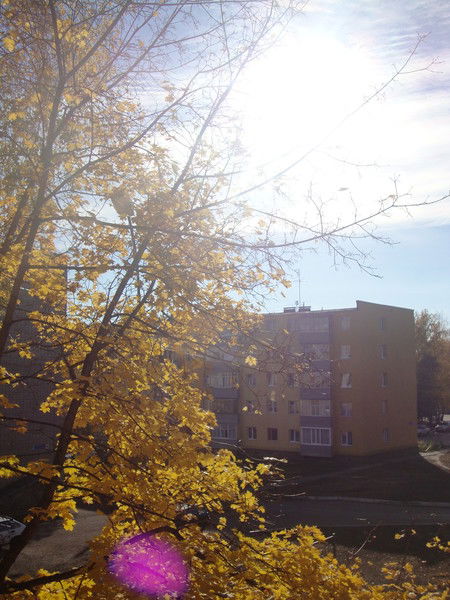 Юля Зайцева