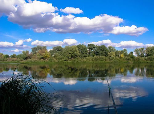 Ирина Грушевская