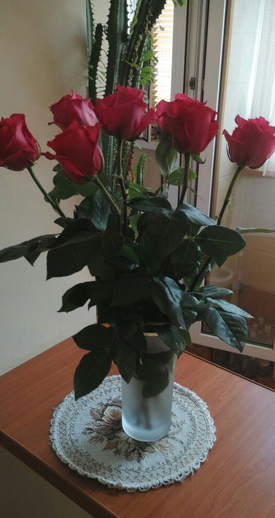 Марина Конева