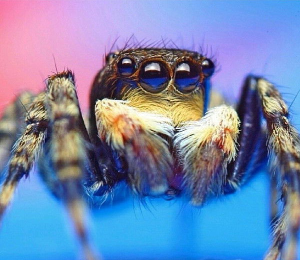 Ташкент Узбекистан