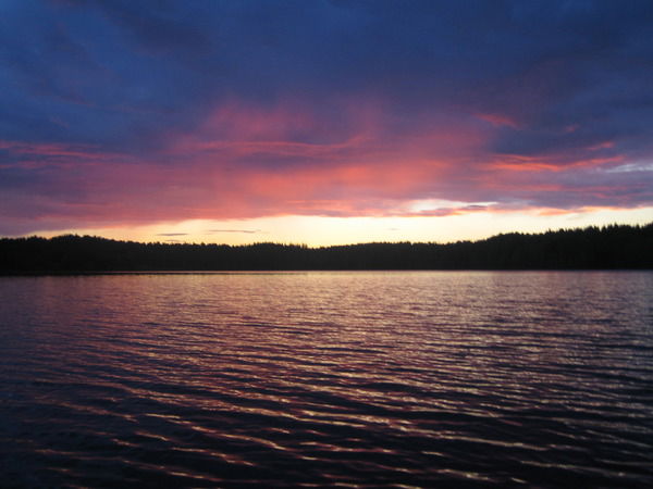 Ольга Пашина