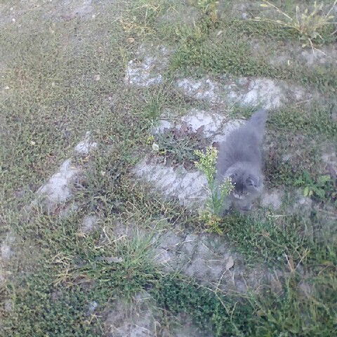 Соня)) Соня))