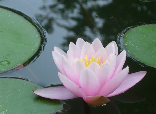 Айман Рахимбекова