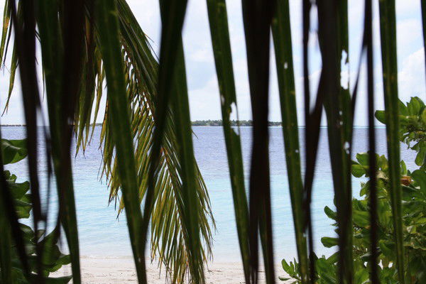 Иван Громов