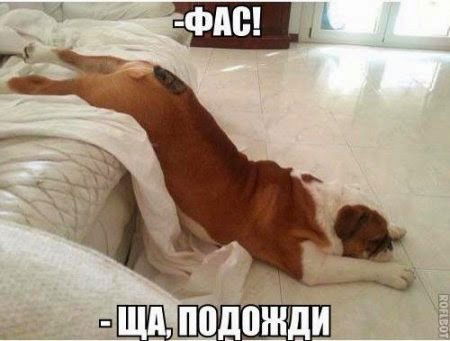 Сергей Харченко