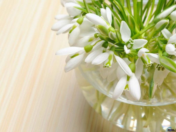 Светлана Сазанская