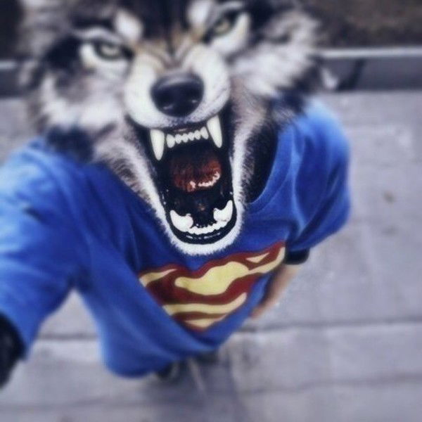 Руслан Пешин