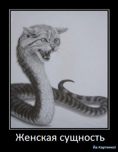 Светлана Линник