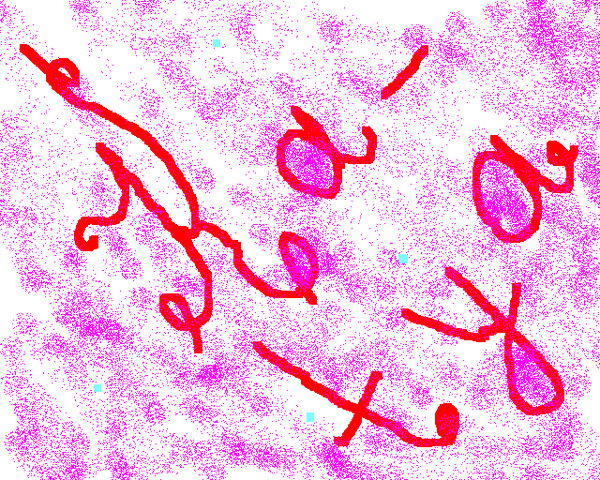 Катя Шатрова