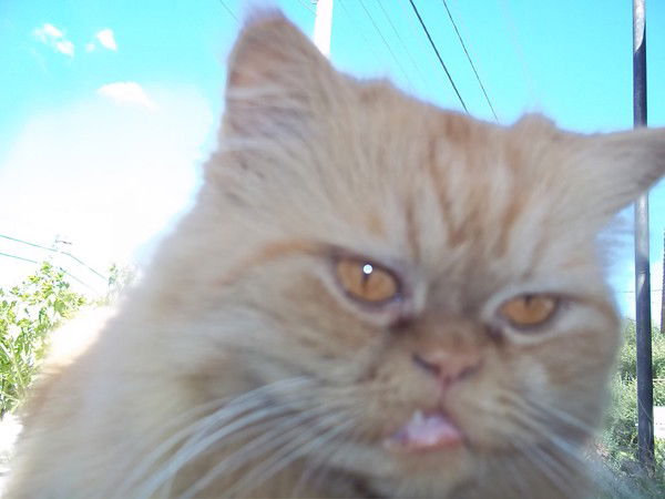 Марина Ивченко