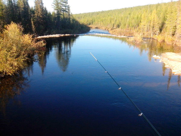 Николай Савельев