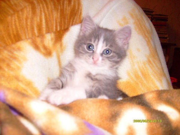 Наталья Покатова