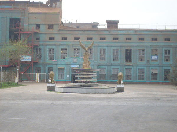 Коканд Мжк Ёг-Мой