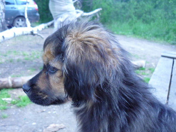 Ирина Потапова