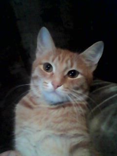 Дарья Кудрявцева