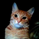 Дарья Кудрявцева